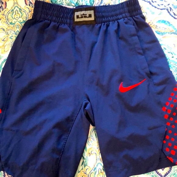 Lot of 2 Boys Swimsuits - Nike + Laguna - Youth Sizes Small & 7 - Picture 3 of 12